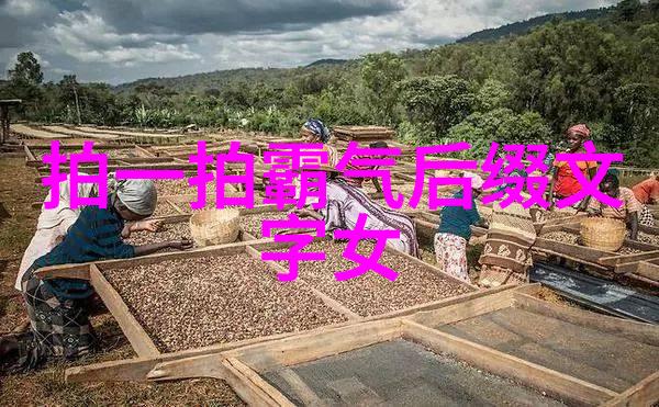 什么是冷色