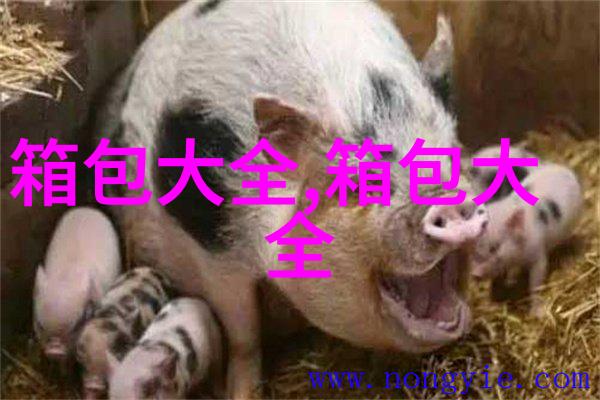 lv经典款都有哪些